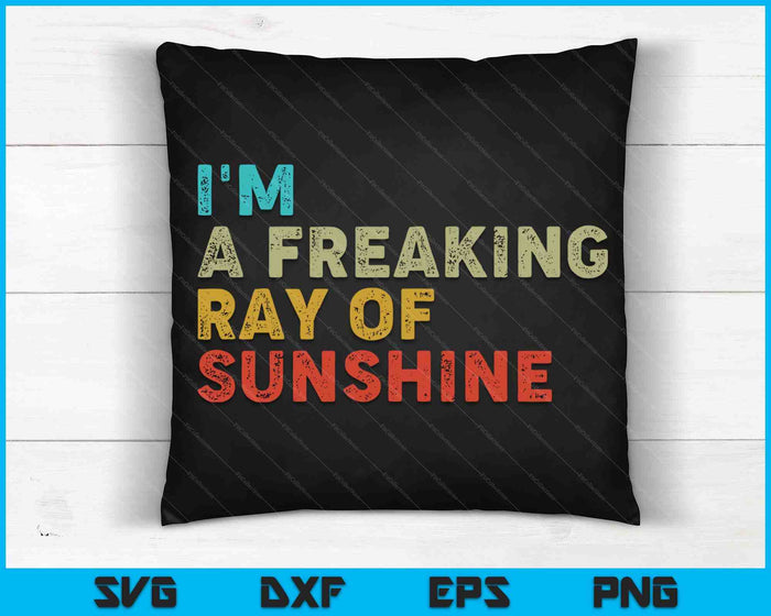 I'm A Freaking Ray Of Sunshine Funny Sarcastic Vintage Retro SVG PNG Digital Printable Files