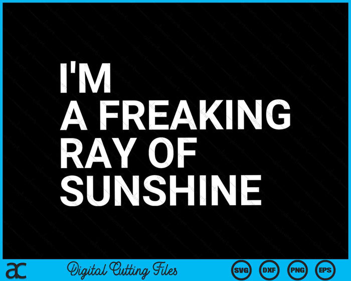 Ik ben een Freaking Ray of Sunshine sarcastische SVG PNG digitale snijbestanden