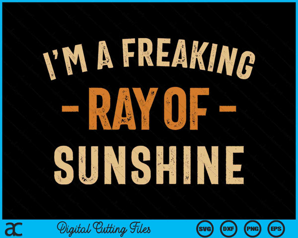 I'm A Freaking Ray Of Sunshine Vintage Sarcastic SVG PNG Digital Cutting Files
