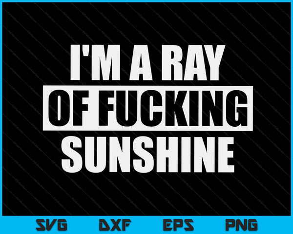 I'm A Ray Of Fucking Sunshine SVG PNG Digital Cutting Files