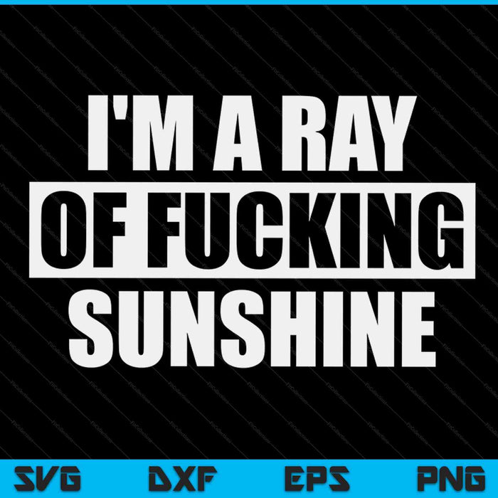 I'm a ray of fucking sunshine SVG cut file