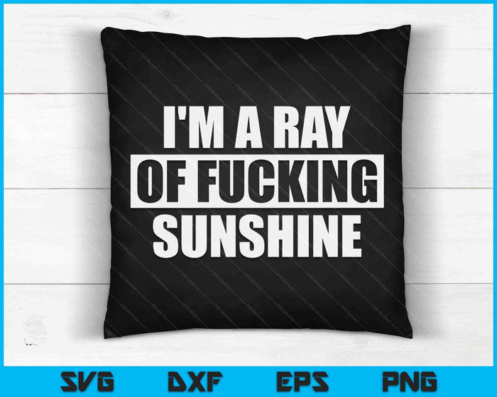 I'm A Ray Of Fucking Sunshine SVG PNG Digital Cutting Files