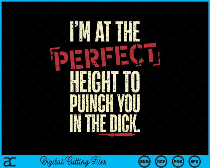 I'm At The Perfect Height To Punch You In The Dick SVG PNG Digital Printable Files