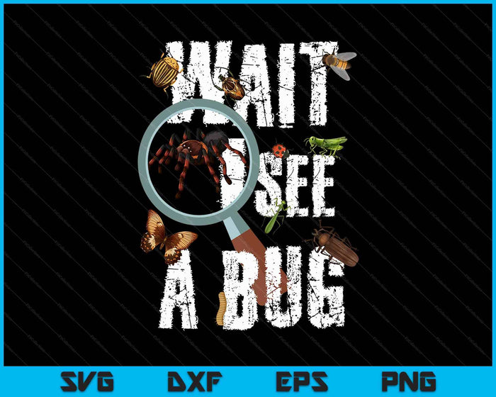 Insects Of The World Bug Lover Expert Entomologist Bugs Fan SVG PNG Digital Printable Files