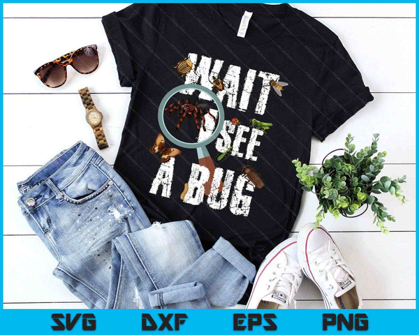 Insects Of The World Bug Lover Expert Entomologist Bugs Fan SVG PNG Digital Printable Files