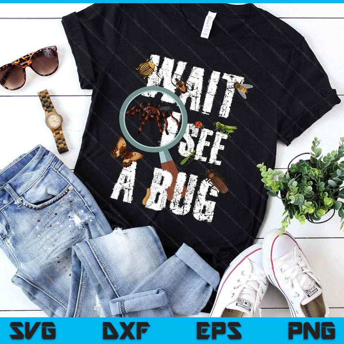 Insects Of The World Bug Lover Expert Entomologist Bugs Fan SVG PNG Digital Printable Files