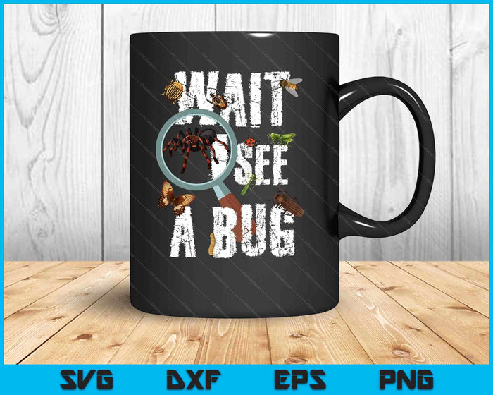 Insects Of The World Bug Lover Expert Entomologist Bugs Fan SVG PNG Digital Printable Files