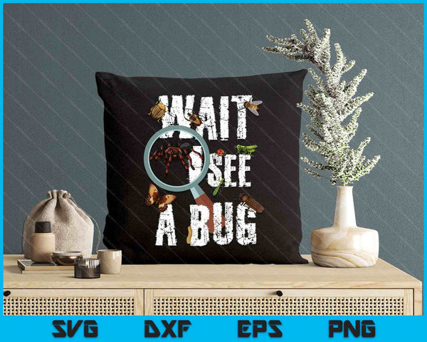 Insects Of The World Bug Lover Expert Entomologist Bugs Fan SVG PNG Digital Printable Files