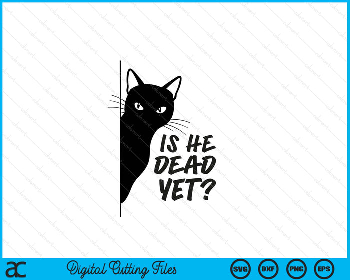 Is-He-Vintage-Dead-Yet Sarcastic Cat Humor Tee SVG PNG Digital Printable Files