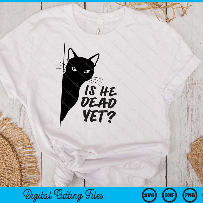 Is-He-Vintage-Dead-Yet Sarcastic Cat Humor Tee SVG PNG Digital Printable Files