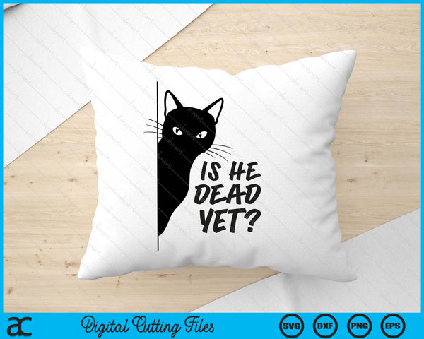 Is-He-Vintage-Dead-Yet Sarcastic Cat Humor Tee SVG PNG Digital Printable Files