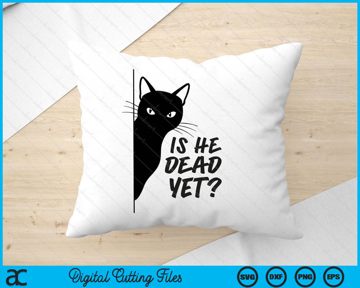 Is-He-Vintage-Dead-Yet Sarcastic Cat Humor Tee SVG PNG Digital Printable Files