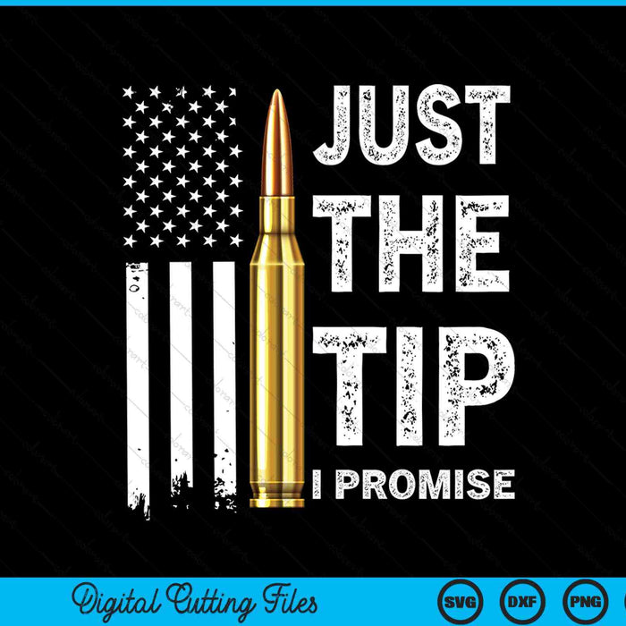 Just The Tip I Promise Funny Gun Owner Pro Guns USA Flag SVG PNG Digital Cutting File