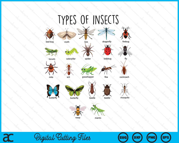 Kids Types Of Insects Bug Identification Science SVG PNG Digital Cutting Files