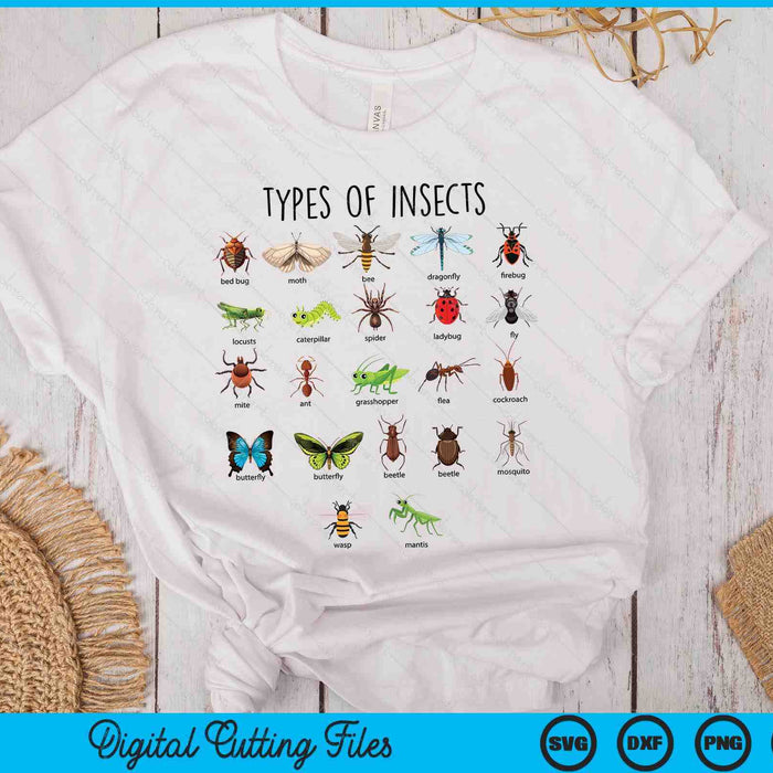 Kids Types Of Insects Bug Identification Science SVG PNG Digital Cutting Files