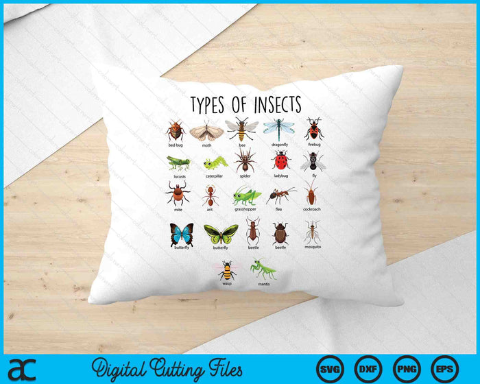 Kids Types Of Insects Bug Identification Science SVG PNG Digital Cutting Files