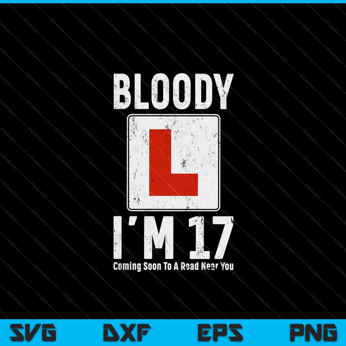 Learner Driver 17th Birthday Im 17 Today Driving Lessons SVG PNG Digital Cutting Files