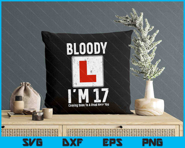 Learner Driver 17th Birthday Im 17 Today Driving Lessons SVG PNG Digital Cutting Files