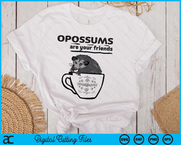 Opossums Are Your Friends Possum Street Cat SVG PNG Digital Printable Files