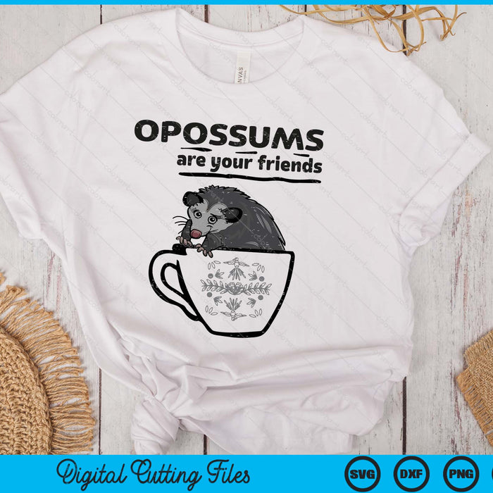 Opossums Are Your Friends Possum Street Cat SVG PNG Digital Printable Files