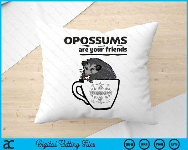 Opossums Are Your Friends Possum Street Cat SVG PNG Digital Printable Files