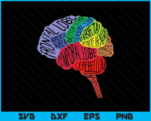 Parts area brain neurologist neurology brain map surgeon SVG cut file