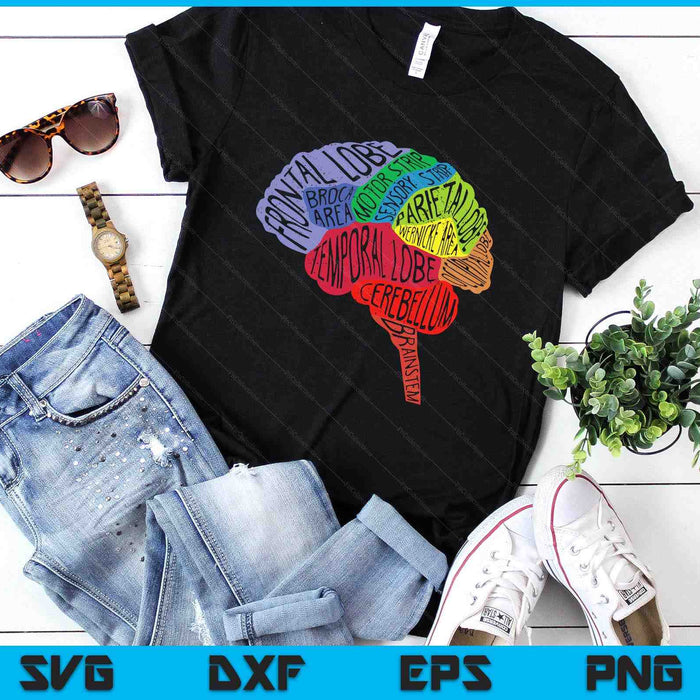 Parts Area Brain Neurologist Neurology Brain Map Surgeon SVG PNG Digital Printable Files