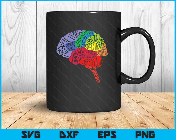 Parts Area Brain Neurologist Neurology Brain Map Surgeon SVG PNG Digital Printable Files