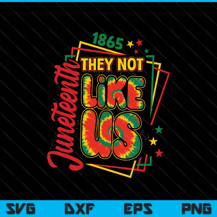 Pride black history they don't like us Juneteenth 1865 SVG cut file