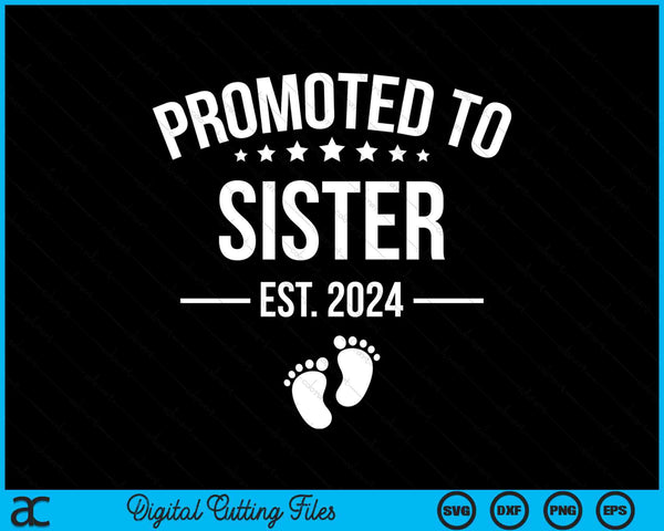 Promoted To Sister 2024 Funny 1st Time Brother SVG PNG Digital Cutting Files