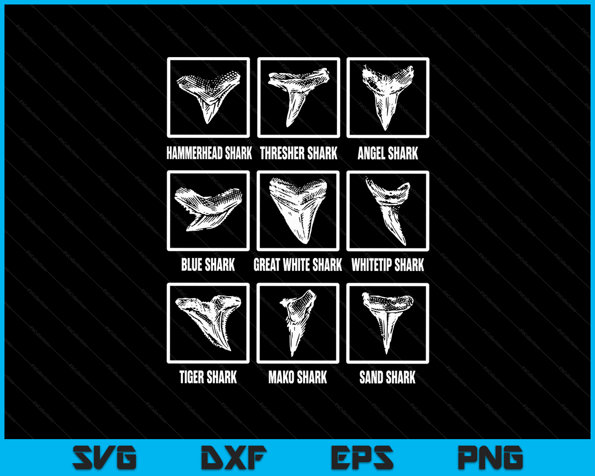 Shark Teeth Collector Sharks Tooth Collection SVG PNG Cutting Files