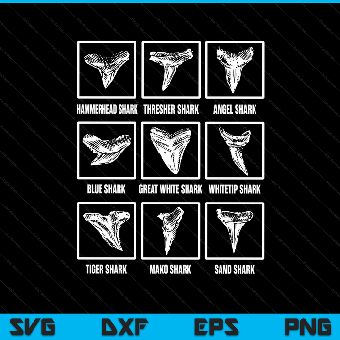 Shark Teeth Collector Sharks Tooth Collection SVG PNG Digital Cutting Files