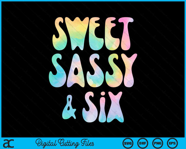 Sweet Sassy And Six 6th Birthday 6 Year Old SVG PNG Digital Cutting Files