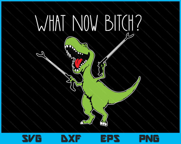 T-Rex Dinosaur What Now Bi.tch Funny Tyrannosaurus Rex SVG PNG Digital Cutting Files