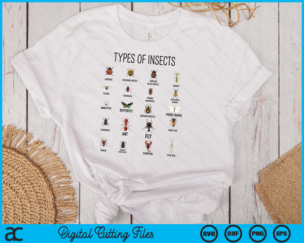 Types Of Insects Bug Identification Science SVG PNG Digital Cutting Files