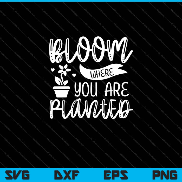 Bloom Where You Are Planted Svg Cutting Printable Files