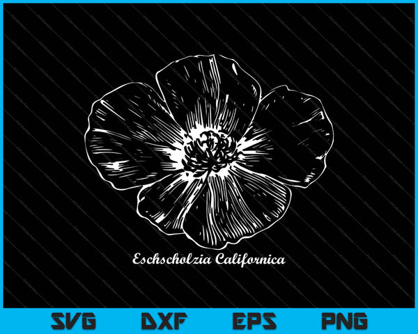 Botánico California Poppy Wildflower SVG PNG Cortar archivos imprimibles