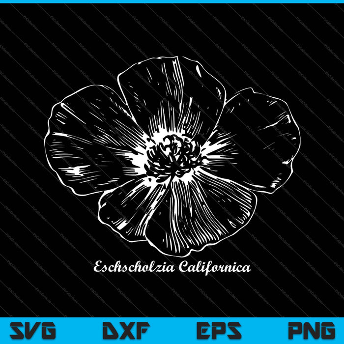 Botanische California Poppy Wildflower SVG PNG snijden afdrukbare bestanden