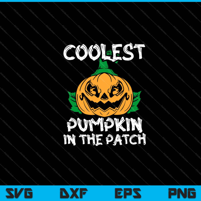 Coolest Pumpkin In The Patch Halloween SVG PNG Cutting Printable Files