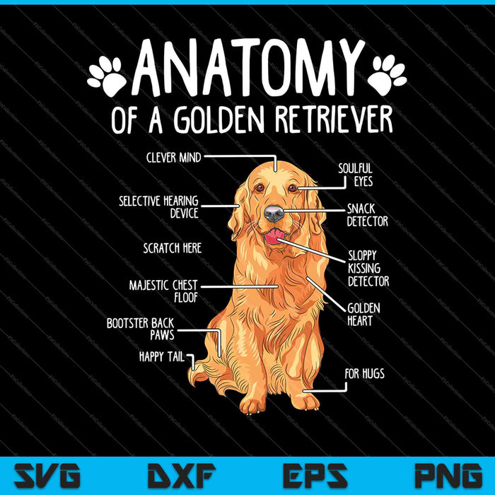 Grappige anatomie Golden Retriever hond minnaar cadeau SVG PNG snijden afdrukbare bestanden