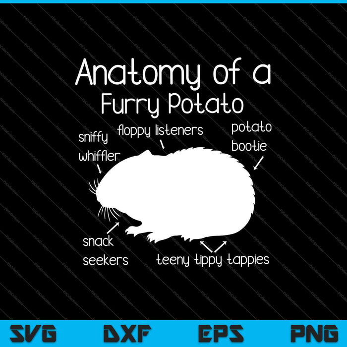 Anatomía de una patata peluda SVG PNG cortando archivos imprimibles