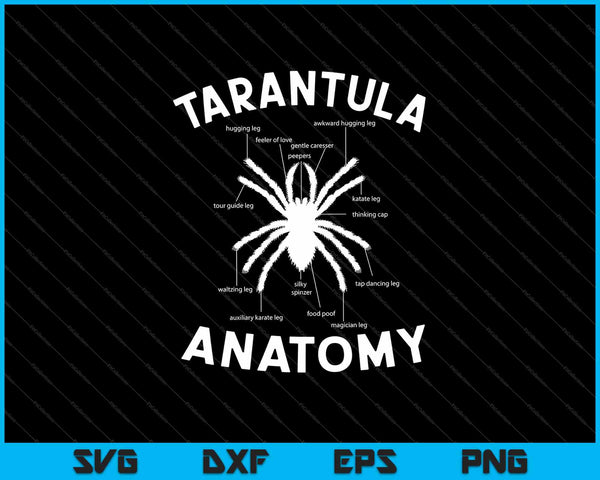 Tarantula anatomie SVG PNG snijden afdrukbare bestanden